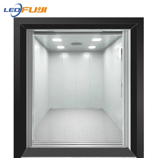 Good Quality FUJI China Factory Warehouse Passenger Cargo Freight Elevator