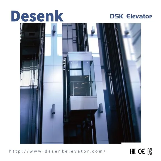 China Elevator Factory Panoramic Elevator Observation Elevator with Glass Cabin-Half Round Series