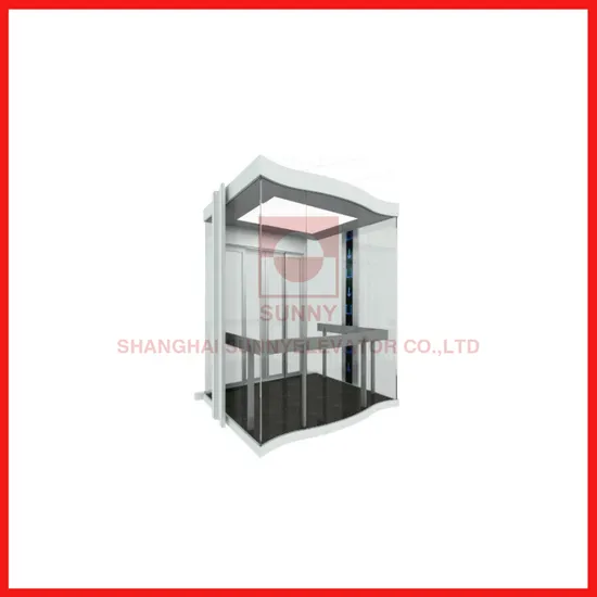800kg Observation Glass Elevator Panoramic Elevator Lift