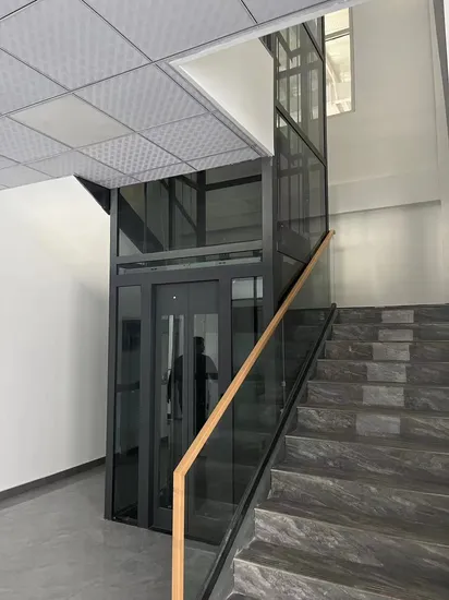 House Elevator Traction Home Internal Lift Price