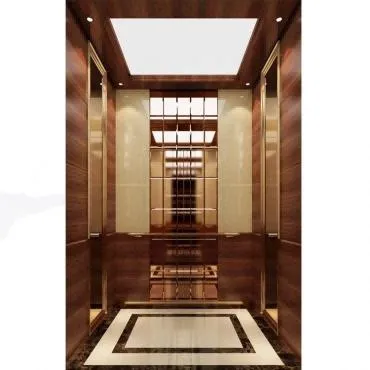 Observation Panoramic Elevator FUJI Vvvf Control Without Machine Room with Good Price