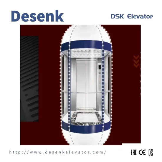 Desenk Passenger Elevator Semi-Circle Observation Elevator with Glass Cabin Finished