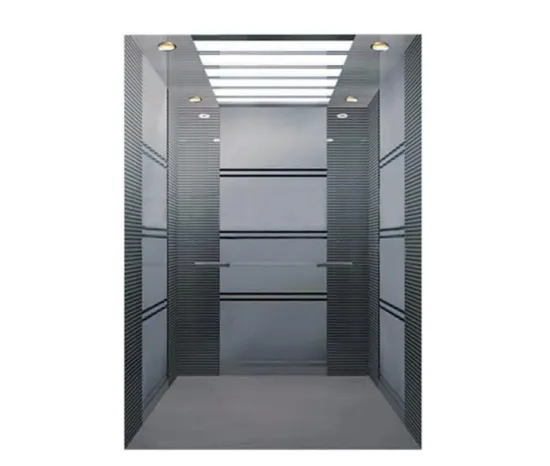 Asia FUJI High Quality Good Price Passenger Sightseeing Elevator Lift