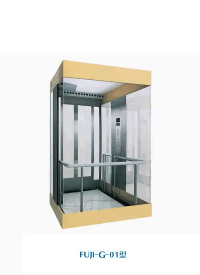 Square Type Passenger Sightseeing Observation Panoramic Elevator