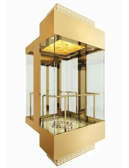 Sightseeing Home Passenger Villa Elevator From Manufacturers Factory