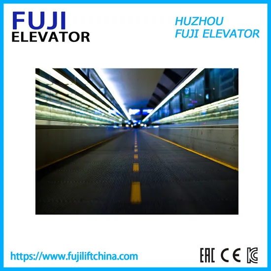 FUJI Vvvf Electric Inside Outside Moving Walk and Travelator Escalator with Control