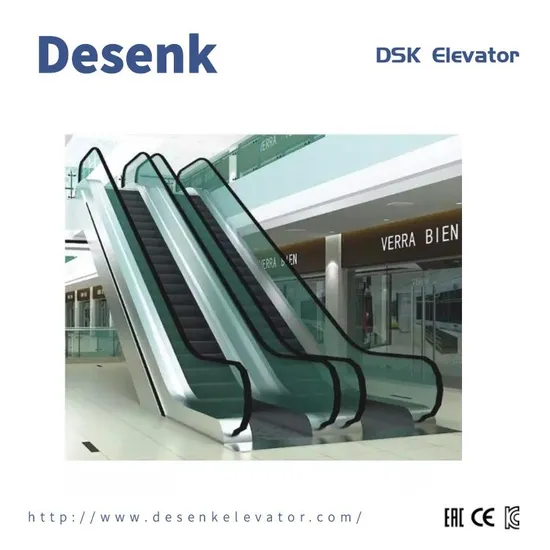 Semi-Outdoor Escalator Passenger Escalator with Vvvf Home Escalator for Sale