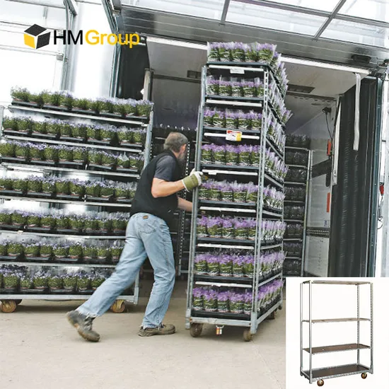 Heavy Duty Galvanized Steel Farm Plant Nursery Garden Cart Trolley