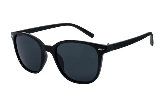 Basis Fashion Style PC Sunglasses for Adult