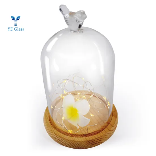 Large Clear Borosilicate Glass Dome Bell Jar for Display
