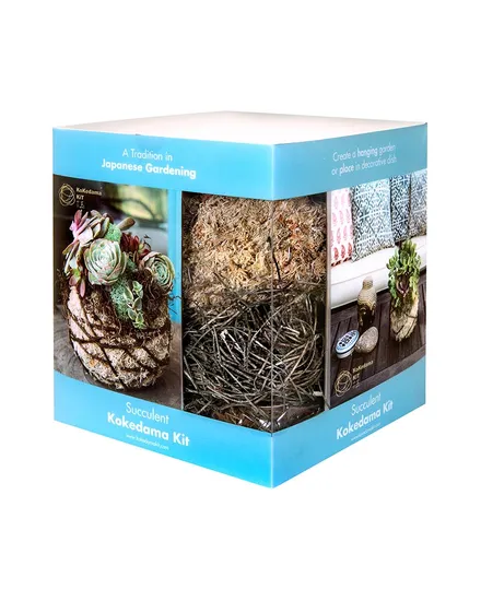Succulent 6″ Kokedama Kit