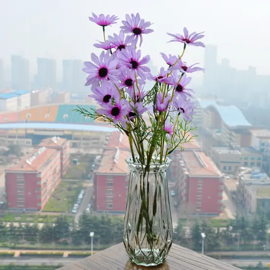 Glass Vase / Water Plant Vase / Transparent Vase for Garden Decoration