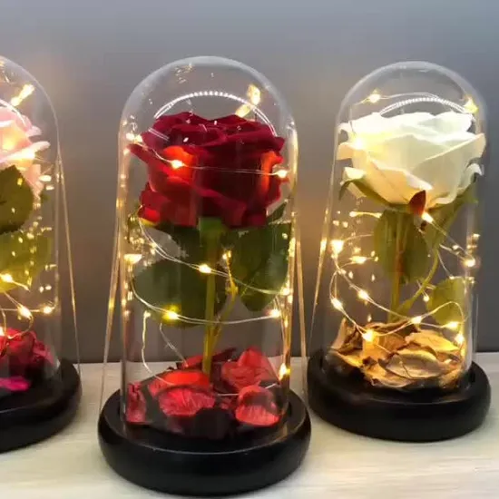 High Quality Gift Flowers Artificial Rose in Glass Dome with LED Light Festival Valentine′s Day Flowers Artificial