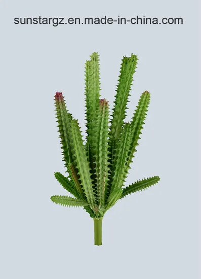 PE Cactus Artificial Plant for Home Decoration with SGS Certificate (50239)