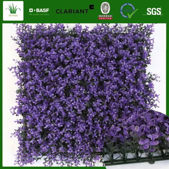 Grass Wall Classroom Green Grass Wall Grass Wall in Bedroom Green Wall Grass Grass Wall in Dining Room Grass Wall Living Room Garden Plant Wall Grass Wall in Ho