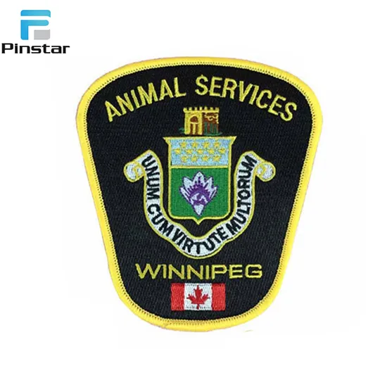 Hot-Selling Different Kind of Embroidered Patches Custom Irregular Shape Personalized Pattern Iron on Embroidery Patch