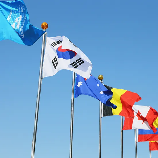 Flag Wholesale Outdoor Indoor Flying National Flags for Meetings States Flag