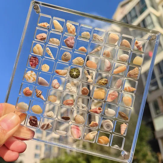 Square Transparent Acrylic Frame for Seaside Miniature Shell Stone Specimen Display Storage