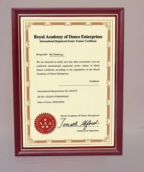 Certificate Frames 11X14 Document Frame - Made for Documents Sized 8.5X11 Inch with Mat and 11X14 Inch