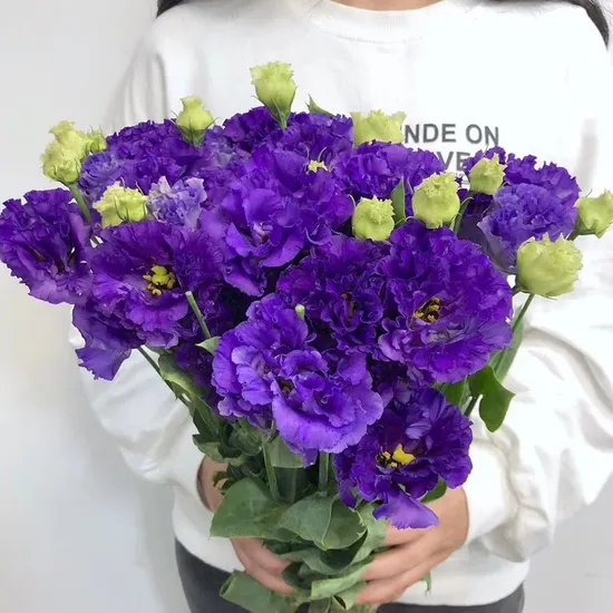 High Quality Fresh Flower Hot Wholesales Fresh Cut Eustoma Flowers for Wedding Decoration