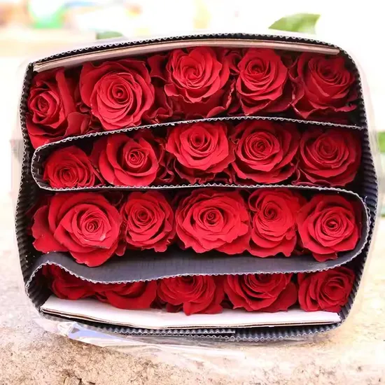 Customized A Grade Fresh Cut Flowers Roses Factory Price