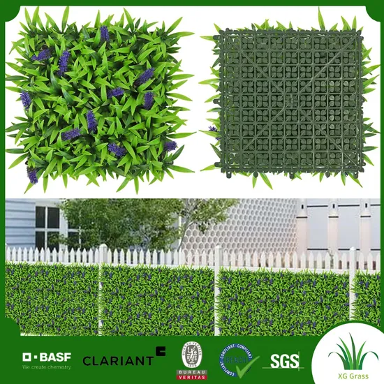 Indoor Pet Friendly Durable Green Wall UV Protection Decoration PE