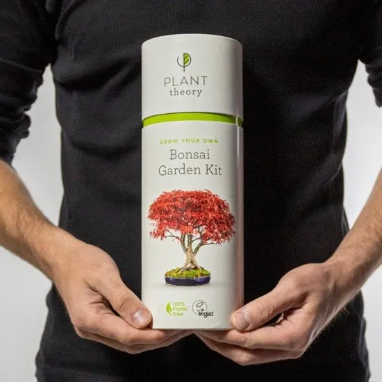 High Quality 5 Pack Grow Your Own Bonsai Kit