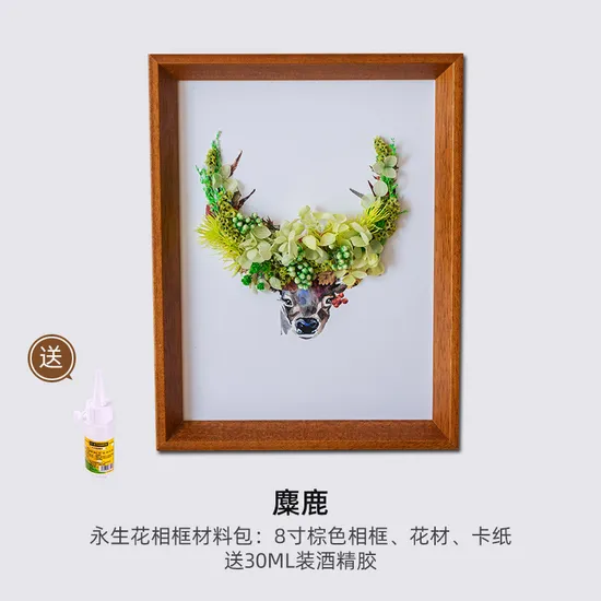 Modern Style Plant Specimen Stickers, Eternal Flower Frame, Handmade DIY Dried Rose for Decorate