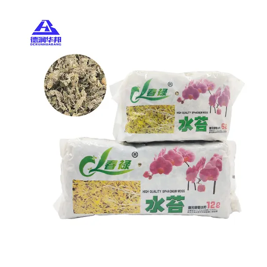 Sphagnum Moss for Aquatic Cultivation of Flowers Plant Landscape Grow Orchids