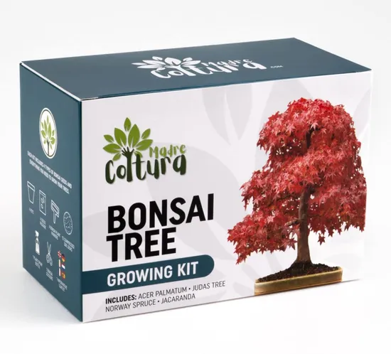 DIY Grow Kits Bonsai Grow Set Includes 4 Types of Bonsai Plants That Unique Garden Gifts