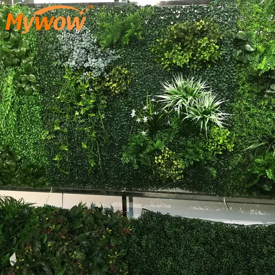 Evergreen Garden Decorative Plant Synthetic Wall Plant for Sale