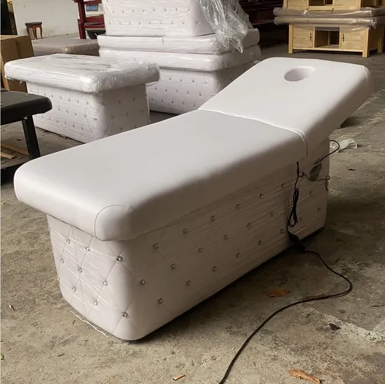 Zy-3003 Beauty Salon Equipment White Beauty Bed