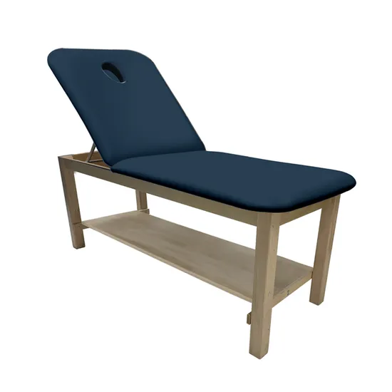 Medical Hospital Furniture Manufacturer Custom Multi-Functional Health Care Portable Physiotherapy Bed