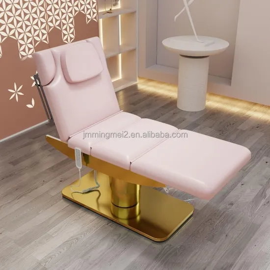 Professional Beauty Salon Furniture Electric Cosmetic Beauty Bed with 3 Motors