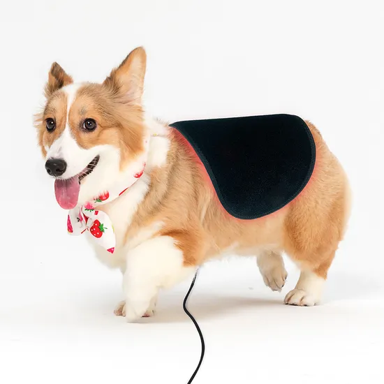 Suyzeko Pet Dog Horse Wound Healing LED Nir Infrared Red Light Therapy Belt