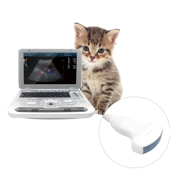 Contec Cms1700A-Vet Slim Design Vet Handheld HD Picture Ultrasound Machine