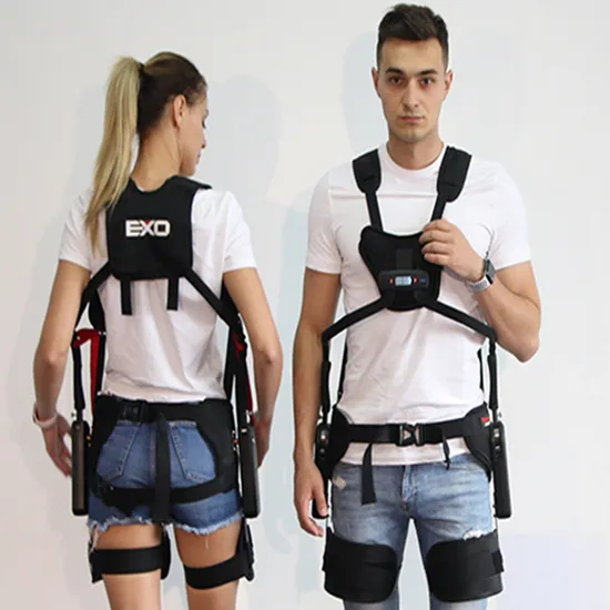 Metal Waist and Back Assisted Exoskeleton for Workers