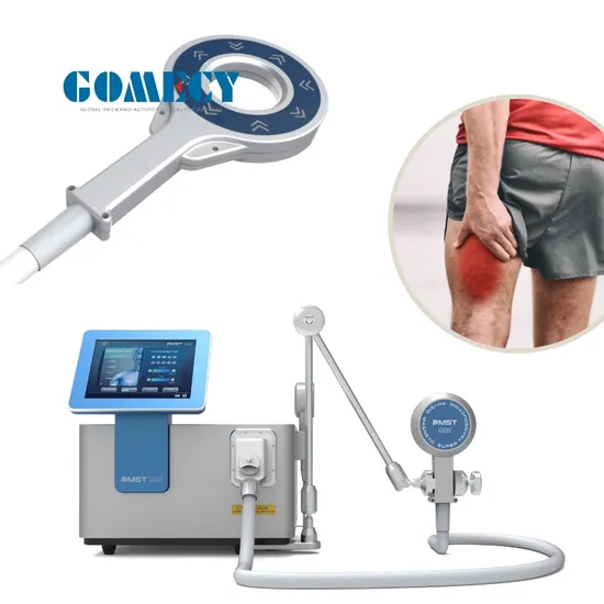 Magneto Therapy Machine Pemf Devices for Horse Veterinary Use Magneto Therapy Machine Pemf Devices for Horse Veterinary Use Magneto Therapy Machine Pemf Devices