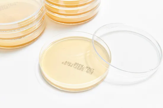 Round Cell Petri Dish for Lab Microbial Test Special Manufacture