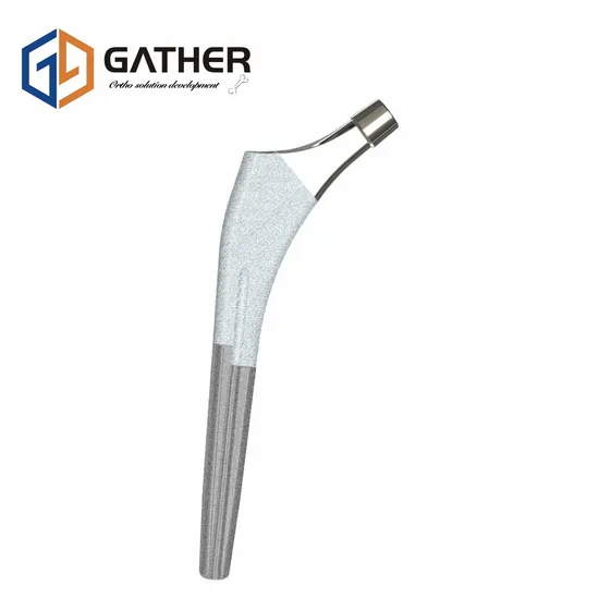 Jiangsu Prosthesis Sterilized Package Hip Replacement Orthopedic Artificial Hip Joint Implant