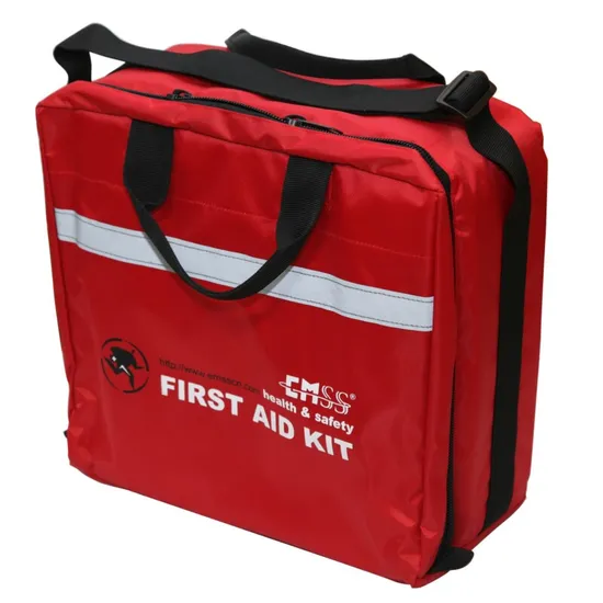 Comprehensive First Aid Bag - Emss Red Emergency Kit for All Needs (EX-013)