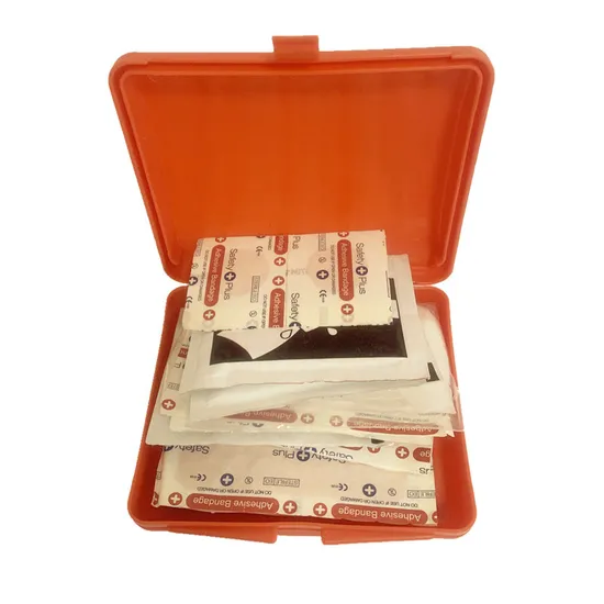 Travel Cartons Fast Delivery Factory Outlet Hot Sale Wholesale First Aid Box