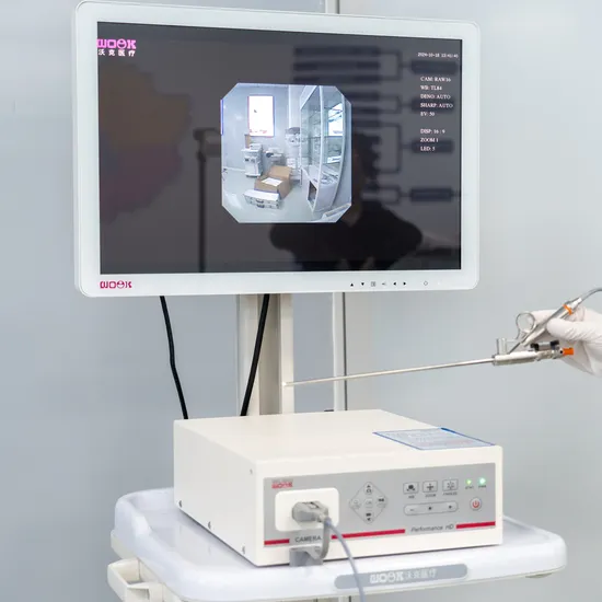 Semi Rigid Digital Video Ureteroscope Ureterorenoscope Hard Mirror Pediatric Ureteroscopy