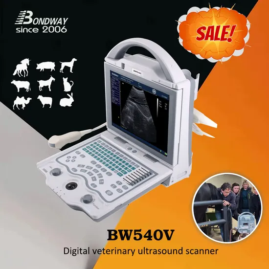 Cow Pregnancy Test Portable Ultrasound Scanner, Veterinary Ultrasound Machine, Equine Ultrasound, Vet Dignostic Ultrasound Imaging Machine