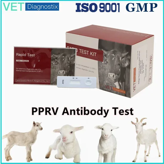 PPR Ab Test Ovine Peste Des Petits Ruminants Virus Rapid Test