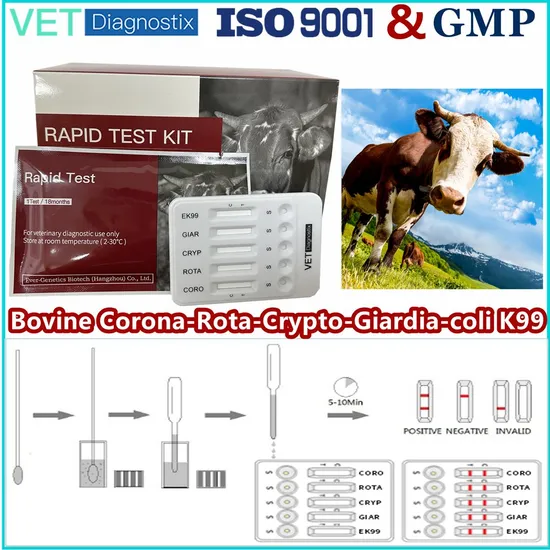Calf Diarrhea Test Bovine Coronvirus-Rotavirus-Cryptosporidium-Giardia Lamblia-Escherichia Coli K99 Antigen Combo Test