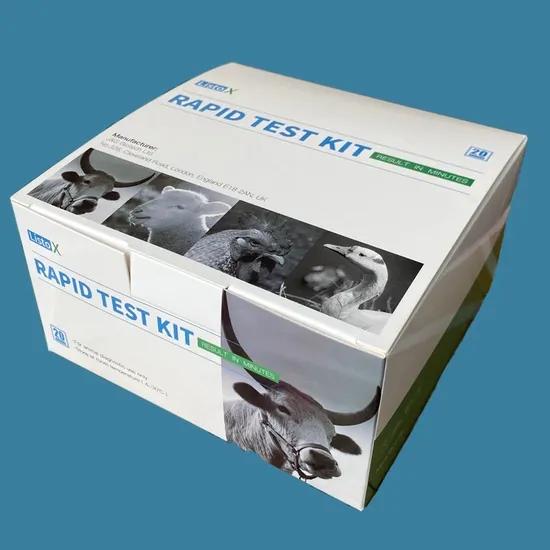 Veterinary Animal Disease Peste Des Petits Ruminants Test Kit (PPR Penside)
