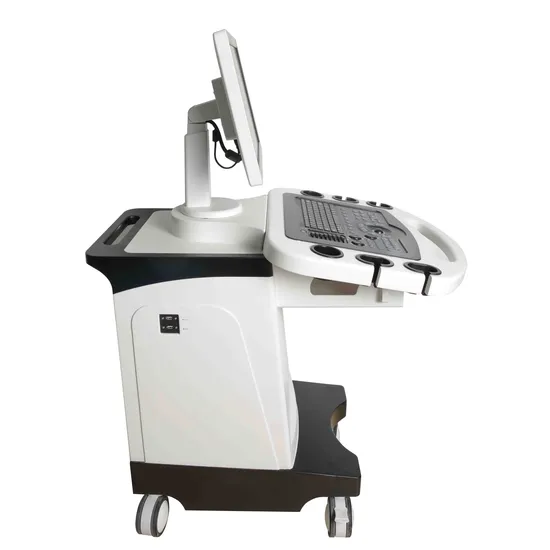 Trolley-Type Multi-Functional Color Doppler Ultrasound