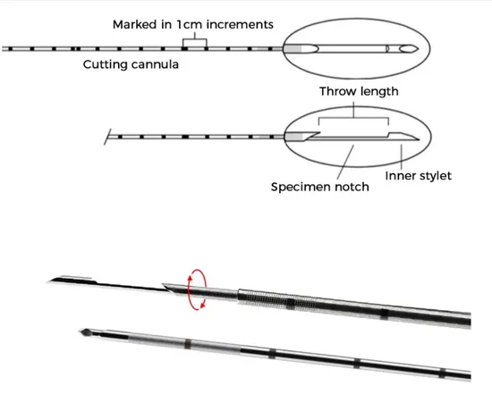 Factory Direct Sale Lightweight Design 18mm Sampling Notch High-Quality Biopsy Needle