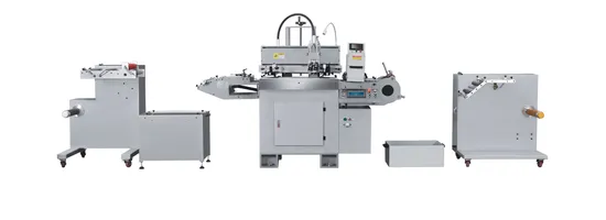Automatic One Color Screen Printing Machine with LED UV or Taiwan UV Light